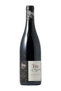 Saumur champigny terre chaude