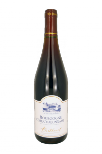 Bourgogne - Pinot Noir