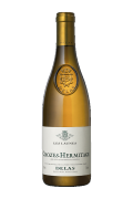 Vin Bourgogne Crozes Hermitage Les Launes Blanc 