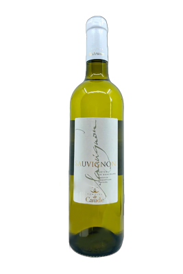 Côtes de Gascogne Sauvignon Domaine de Caude Blanc
